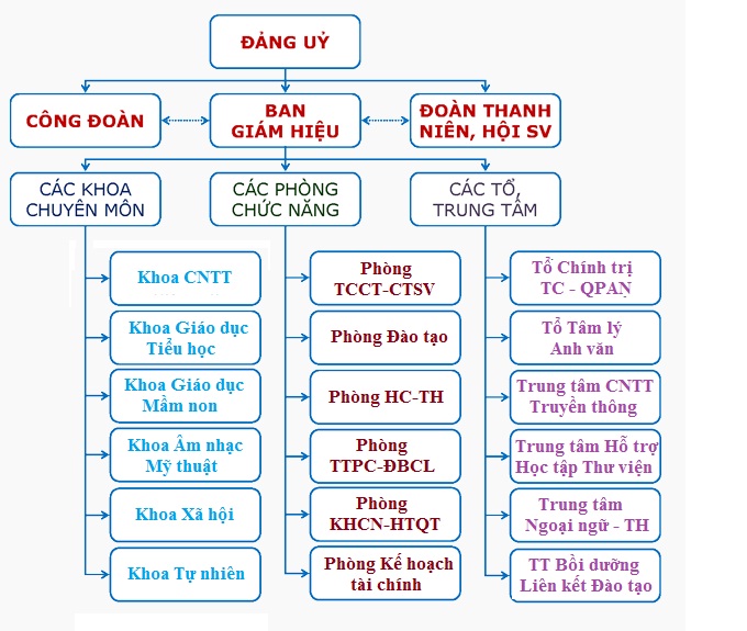 Cơ cấu tổ chức